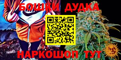 прущие грибы Новокубанск