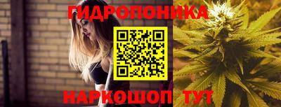 первитин Новодвинск